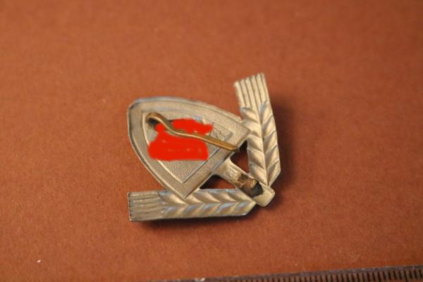 Fotoalbum Arbeitsgau XXII Thüringen 22 Fotos + Mützenabzeichen